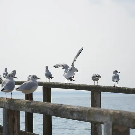 Апартаменты Margarete