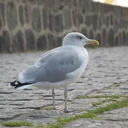 Margarete Апартаменты Засниц